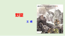 部编版八年级语文上册《野望》课件公开课