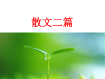 部编版八年级上册语文《散文二篇》课件（定稿公开课）