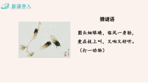部编版八年级语文上册定稿《蝉》课件（区级公开课）