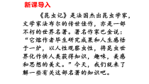 部编版八年级语文上册《昆虫记：科普作品的阅读》名著导读课件