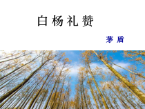 部编版八上语文《白杨礼赞》教案+ 课件+导学案（定稿；教研）