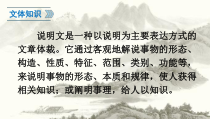 部编版八年级语文上册《中国石拱桥》课件（教研课定稿）