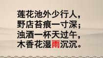 南京部编版八年级语文上册《昆明的雨》课件（定稿）