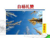 常州部编版八年级语文上册《白杨礼赞》教案+课件+导学案（定稿）