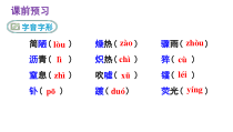 部编版初二语文上册八年级《美丽的颜色》课件（定稿）