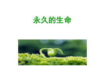 部编版初二语文上册八年级《散文两篇》课件（定稿；含2课时）