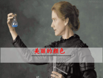 部编版八年级初二语文上册《美丽的颜色》课件（公开课定稿）