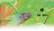 部编版八年级初二语文上册《蝉》课件设计定稿（公开课）