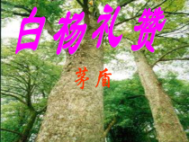 部编版八年级初二语文上册《白杨礼赞》教案+课件+导学案（共2课时定稿；公开课）