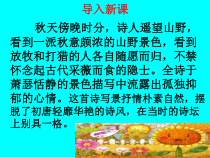 部编版八年级初二语文上册《野望》课件（校内公开课定稿）