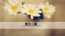 部编版八年级初二语文上册《散文二篇》课件（校级公开课定稿）