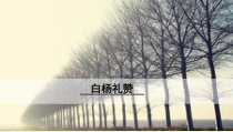 部编版八年级初二语文上册《白杨礼赞》教案、课件、导学案（校级公开课定稿）