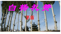 部编版八年级语文初二上册《白杨礼赞》教案+课件+导学案（公开课）