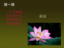 《6.出水芙蓉》PPT课件1-七年级美术上册浙人美版