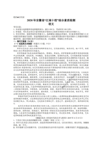 2020年安徽省江南十校综合素质检测 语文卷（含答案）