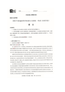 2020年普通高等学校招生全国统一模拟考试(二卷) 语文卷（含答案）