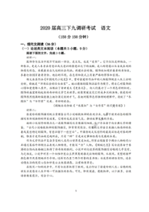 河北衡水2020高三下学期第九次调研考试 语文卷（含答案）