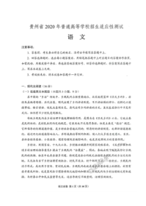 贵州省2020年普通高等学校招生适应性测试 语文卷（含答案）