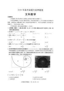 2020年高考命题专家押题卷 数学(文数)卷（含答案）