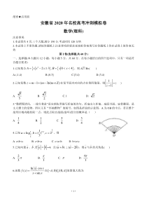 安徽省2020届高三名校高考冲刺模拟卷 数学（理）（含答案）
