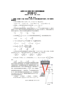 安徽省合肥市2020高三第三次教学质量检测 数学(理数)卷（含答案）