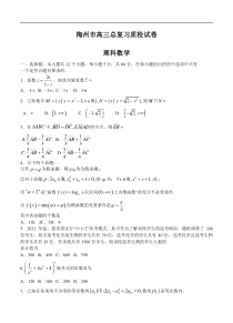 广东省梅州市2020届高三6月总复习质检（二）理科数学（含答案）