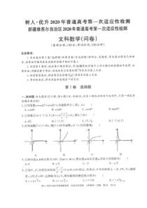 树人优升新疆2020年普通高考第一次适应性检测 数学(文数)卷（含答案）