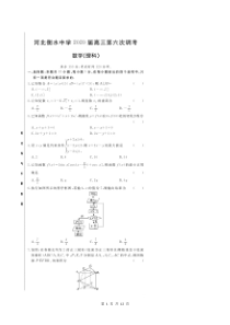 河北衡水中学2020届高三第六次调考卷 数学(理数)（含答案解析）