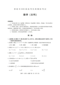 湖北娄底市2020届高考仿真模拟考试 数学(文数)卷（含答案）