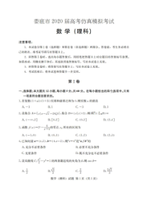 湖北娄底市2020届高考仿真模拟考试 数学(理数)卷（含答案）