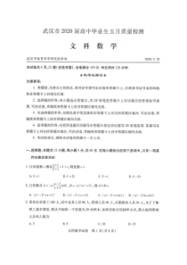 湖北武汉市2020届高中毕业生五月质量检测 数学(文数)卷（含答案）