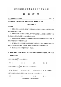 湖北武汉市2020届高中毕业生五月质量检测 数学(理数)卷（含答案）