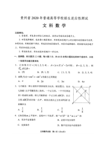 贵州省2020年普通高等学校招生适应性测试 数学(文数)卷（含答案）