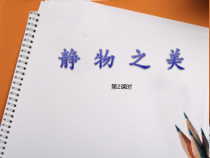 《6.静物之美》PPT课件2-八年级美术上册浙人美版