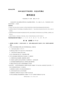 2020届高中毕业班第一次适应性测试试卷-理综 （含答案）