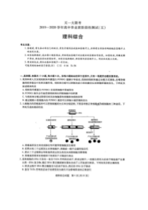 天一大联考2019-2020学年高中毕业班阶段性测试五 理综卷（含答案）