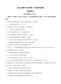 广西南宁市2020届高三毕业班第一次适应性测试 理综试题（含答案）