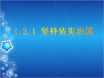 《坚持依宪治国》PPT课件3-统编版八年级下册道德与法治