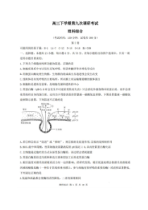 河北衡水2020高三下学期第九次调研考试 理综卷（含答案）