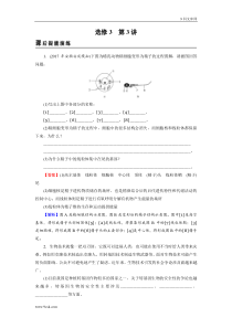 高考生物一轮复习 讲义+课后练习(82份打包，含答案解析，可预览)