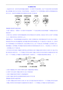高考生物二轮复习练习：专题04 细胞的生命历程 交汇题型过关练（含答案）