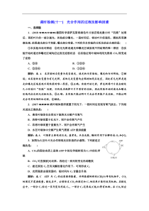 高考生物一轮复习：课时检测（十一） 光合作用的过程及影响因素 Word版含解析