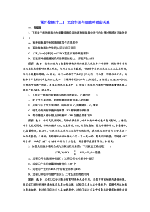 高考生物一轮复习：课时检测（十二） 光合作用与细胞呼吸的关系 Word版含解析