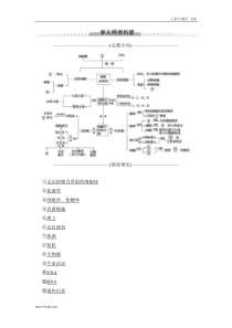 高考生物一轮复习： 必修1 第1单元 单元网络构建