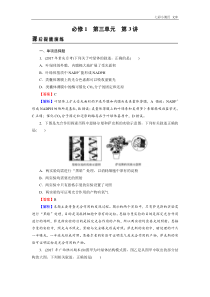 高考生物一轮复习：必修1 第3单元 第3讲 真题精炼（含答案解析） 课后练习