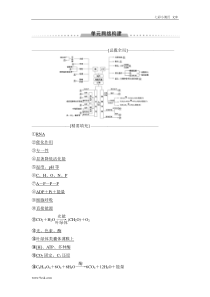 高考生物一轮复习： 必修1 第3单元 单元网络构建