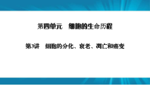  高考生物 一轮复习 必修1 第4单元 第3讲