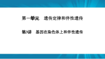  高考生物 一轮复习 必修2 第1单元 第3讲