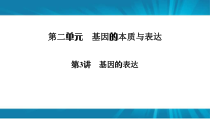  高考生物 一轮复习 必修2 第2单元 第3讲