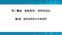  高考生物 一轮复习 必修2 第3单元 第2讲